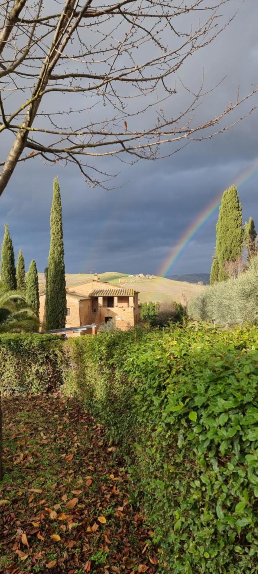 Agriturismo S. Eurosia Montalcino Room photo